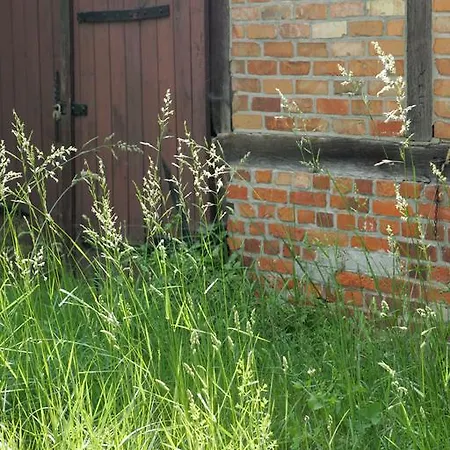 Waldhof Auf Herrenland Hotel