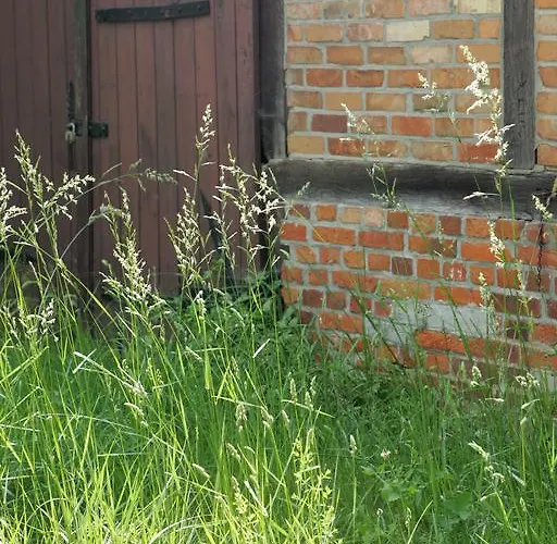 Waldhof Auf Herrenland ホテル