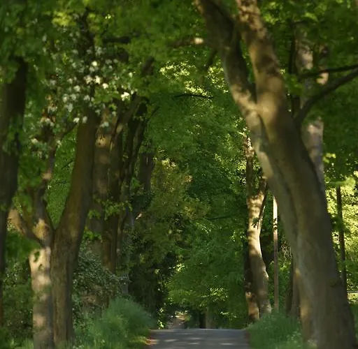 Waldhof Auf Herrenland ホテル メルン
